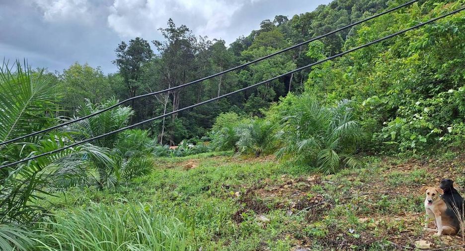 出售 土地 在 Ko Lanta, Krabi