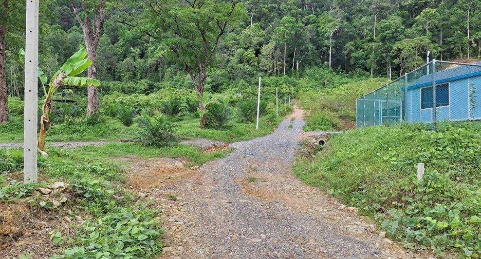 出售 土地 在 Ko Lanta, Krabi