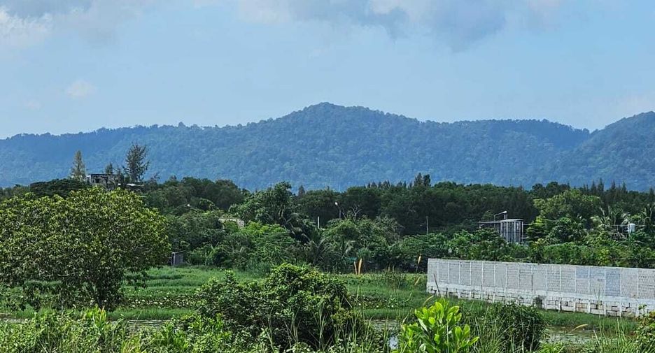 For sale land in Thalang, Phuket