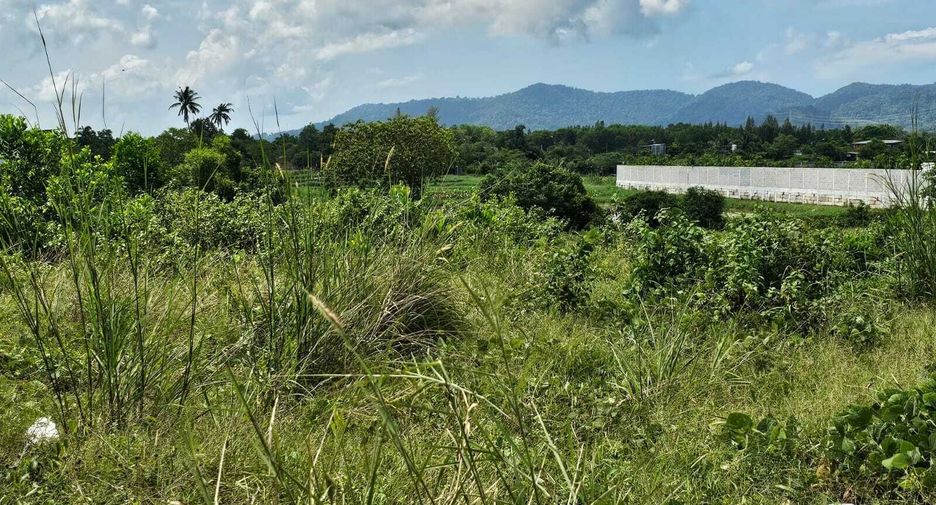 For sale land in Thalang, Phuket