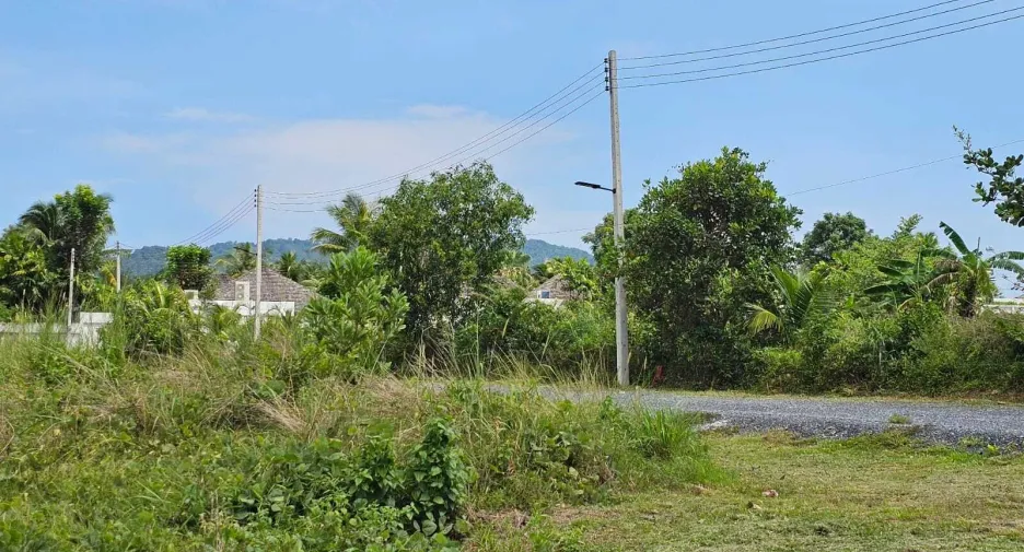 For sale land in Thalang, Phuket
