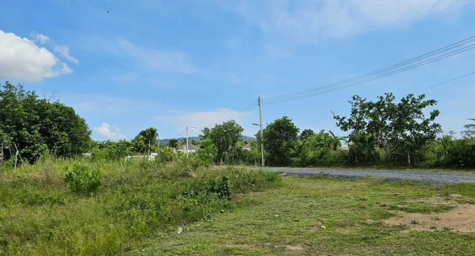 For sale land in Thalang, Phuket