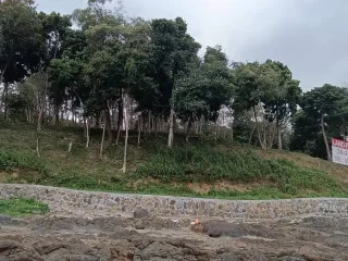 ขาย ที่ดิน ใน ถลาง, ภูเก็ต