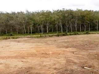 Terreno en venta en Thalang, Phuket