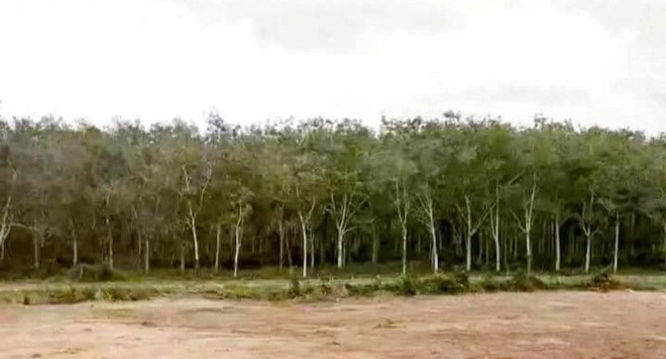For sale land in Thalang, Phuket
