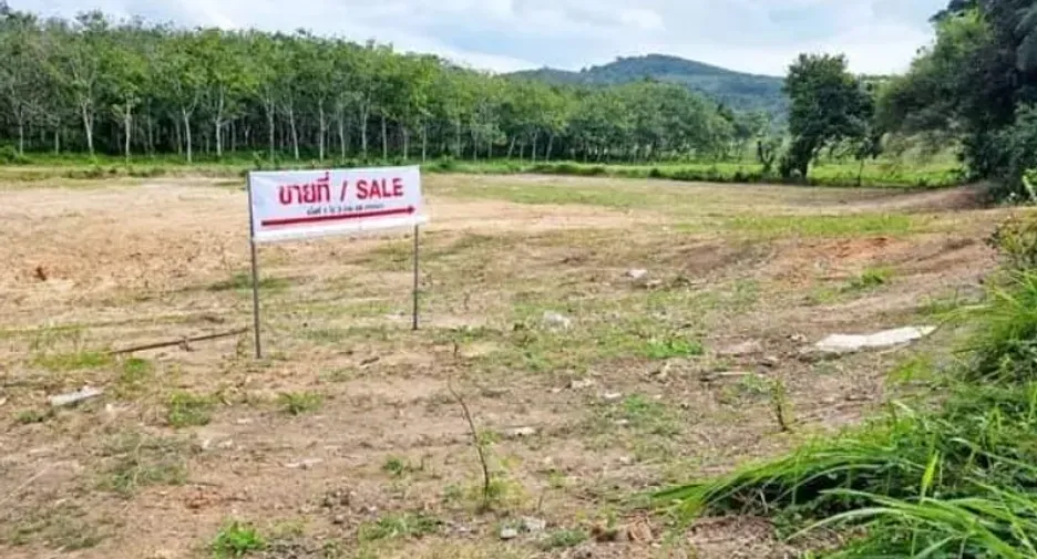 For sale land in Thalang, Phuket
