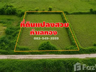 For sale land in Wang Noi, Phra Nakhon Si Ayutthaya