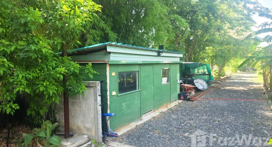 出售 3 卧室 独立屋 在 Lam Plai Mat, Buri Ram