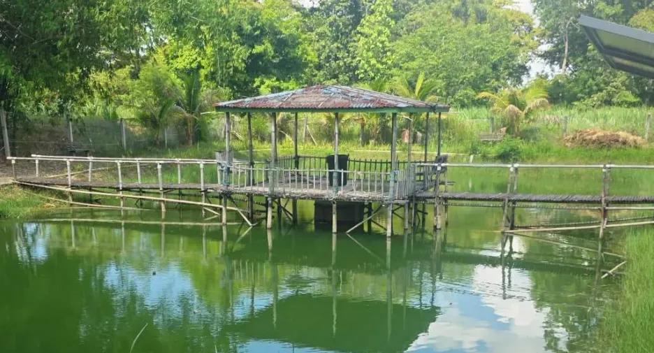 出售 3 卧室 独立屋 在 Lam Plai Mat, Buri Ram