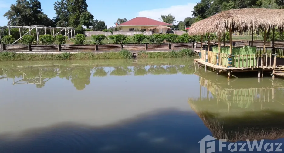 出售 3 卧室 独立屋 在 Lam Plai Mat, Buri Ram