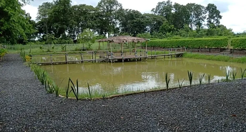 出售 3 卧室 独立屋 在 Lam Plai Mat, Buri Ram