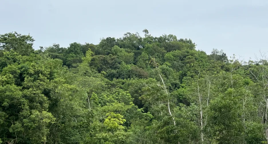Grundstück zum Kauf in Tha Mai, Chanthaburi