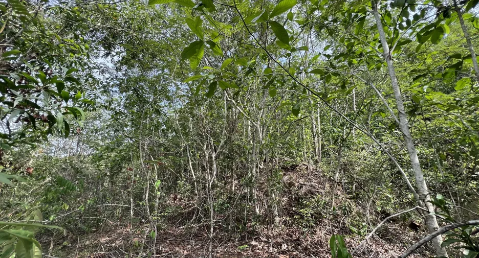 Grundstück zum Kauf in Tha Mai, Chanthaburi