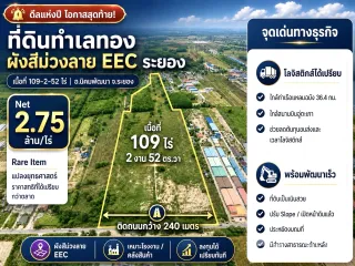 ขาย ที่ดิน ใน นิคมพัฒนา, ระยอง