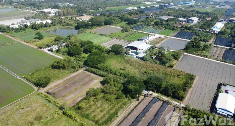 出售 土地 在 Phutthamonthon, Nakhon Pathom