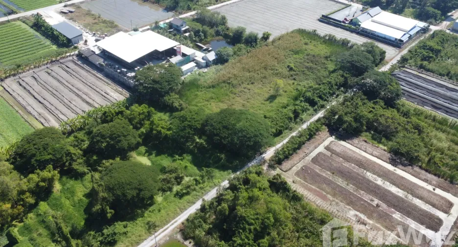 出售 土地 在 Phutthamonthon, Nakhon Pathom