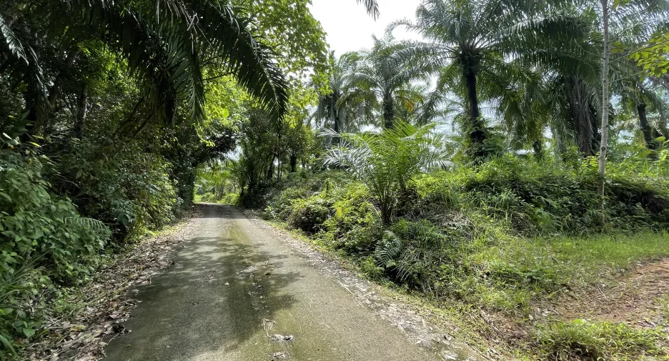Terreno en venta en Thalang, Phuket