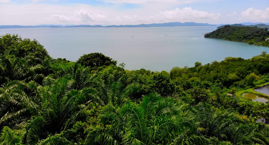 Terreno en venta en Thalang, Phuket