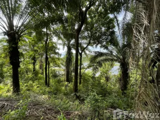 Terreno en venta en Thalang, Phuket