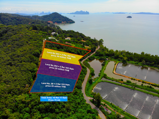 For sale land in Thalang, Phuket