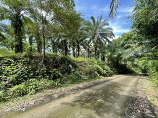 For sale land in Thalang, Phuket