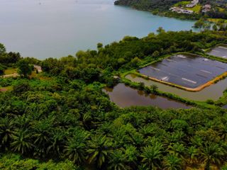 For sale land in Thalang, Phuket