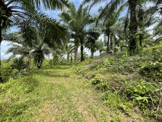 Terreno en venta en Thalang, Phuket