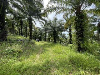 Terreno en venta en Thalang, Phuket