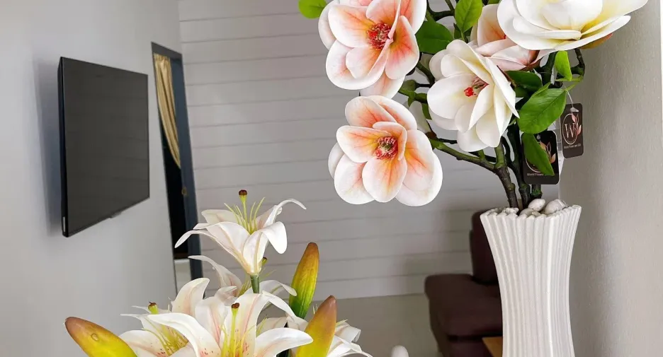 For rent 3 bedrooms house in Saraphi, Chiang Mai
