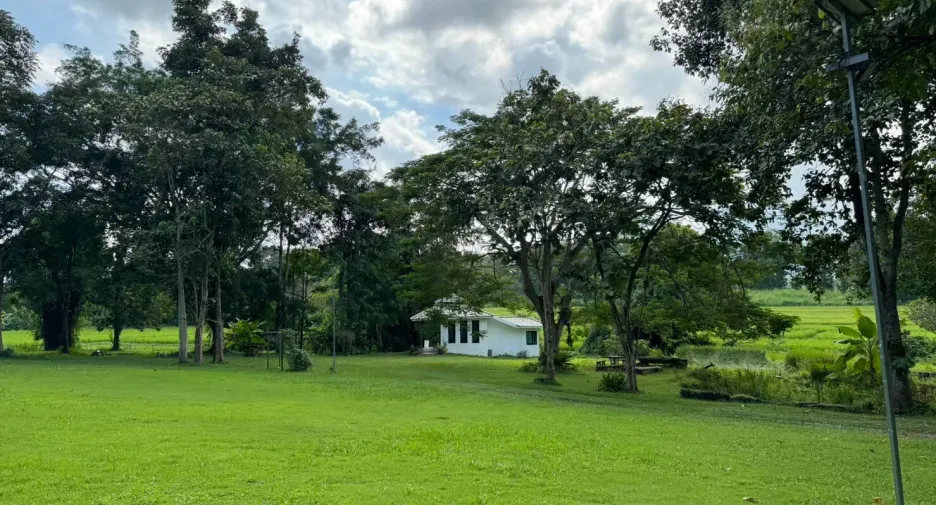 For sale land in Mueang Chiang Rai, Chiang Rai