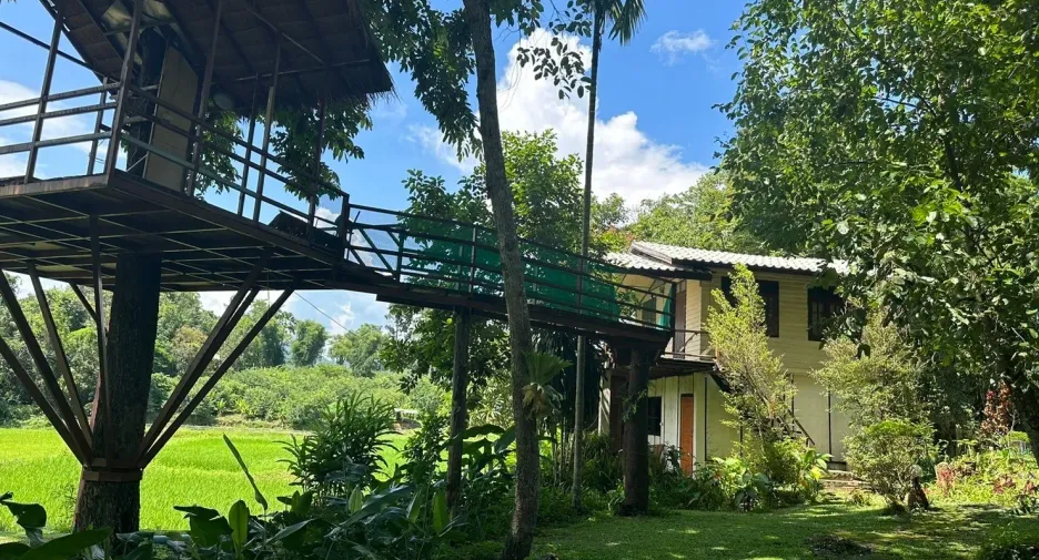 For sale land in Mueang Chiang Rai, Chiang Rai