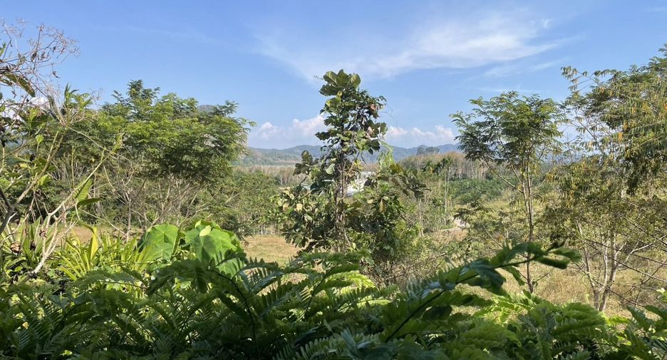 出售 6 卧室 酒店 在 Mueang Krabi, Krabi