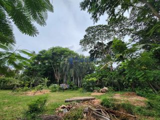 For sale land in Bang Lamung, Chonburi