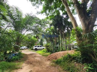 For sale land in Bang Lamung, Chonburi