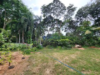 For sale land in Bang Lamung, Chonburi
