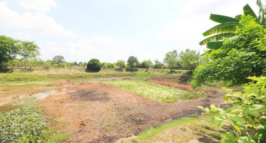 For sale 2 bedrooms house in Nong Han, Udon Thani