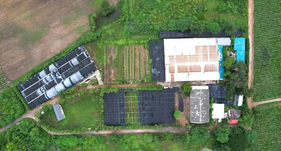 Terreno en venta en Tha Muang, Kanchanaburi