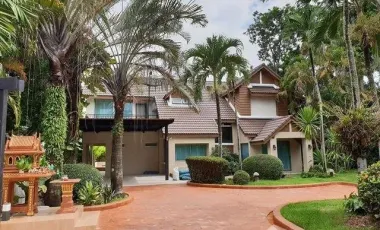 For sale and for rent 3 bedrooms house in San Sai, Chiang Mai