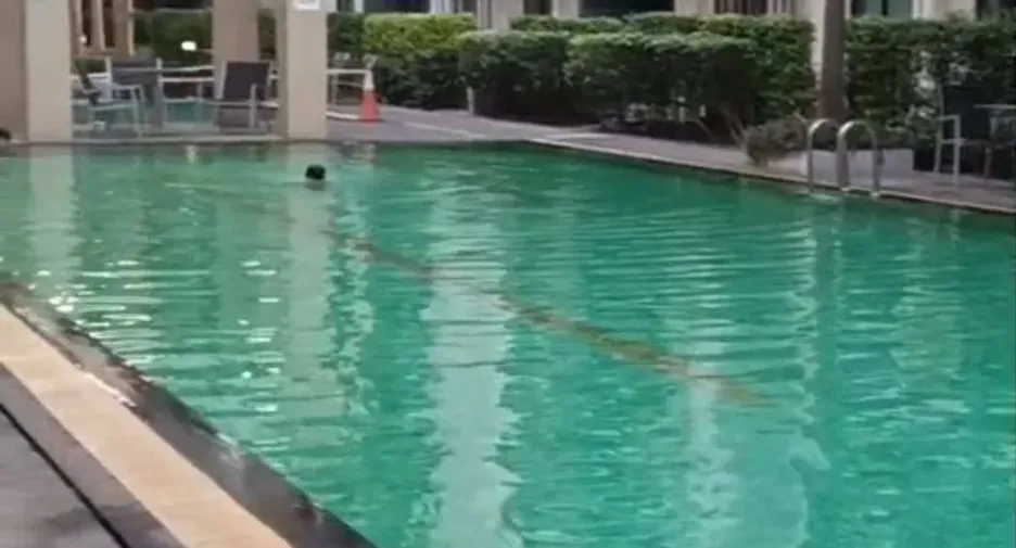 For rent 2 bedrooms condo in Bang Na, Bangkok