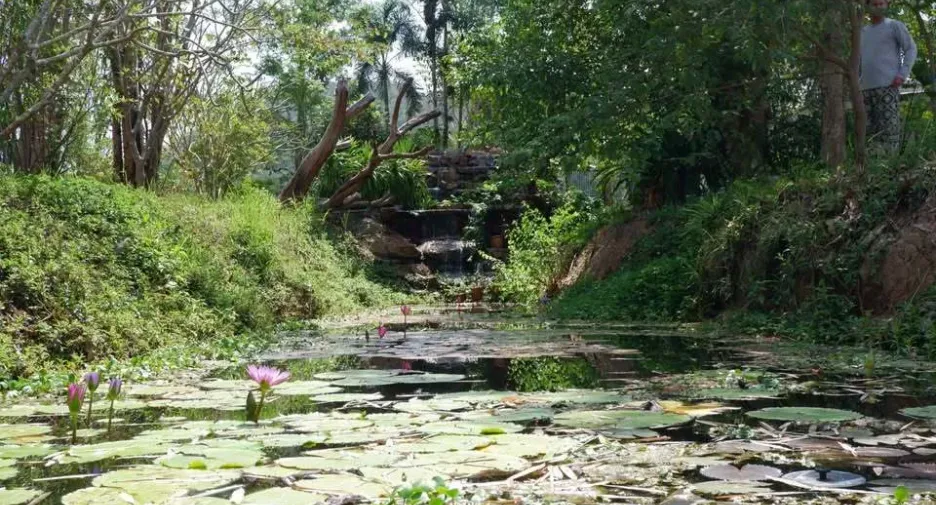 À vendre 1 chambre maison à Pran Buri, Prachuap Khiri Khan