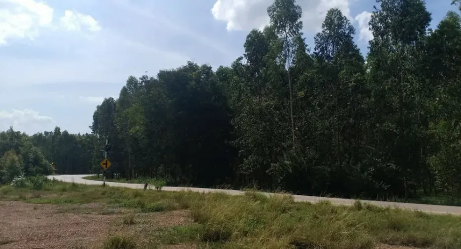 For sale land in Si Maha Phot, Prachin Buri