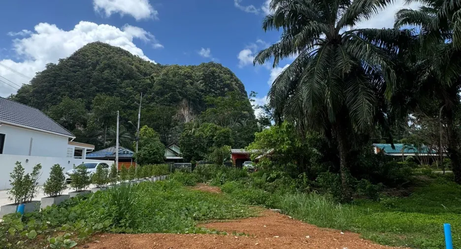 À vendre terrain à Mueang Krabi, Krabi