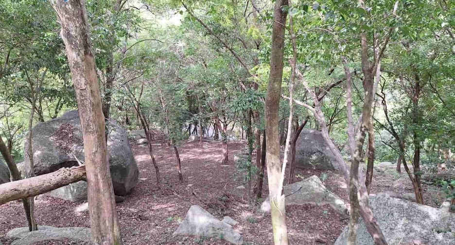 For sale land in Ko Samui, Surat Thani