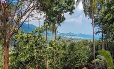 For sale land in Ko Samui, Surat Thani