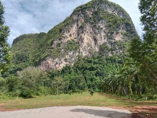 ขาย ที่ดิน ใน เมืองกระบี่, กระบี่