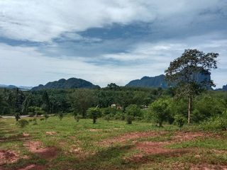 ขาย ที่ดิน ใน เมืองกระบี่, กระบี่