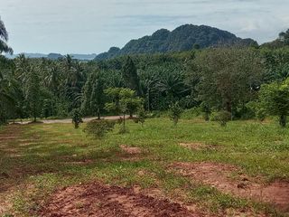 ขาย ที่ดิน ใน เมืองกระบี่, กระบี่