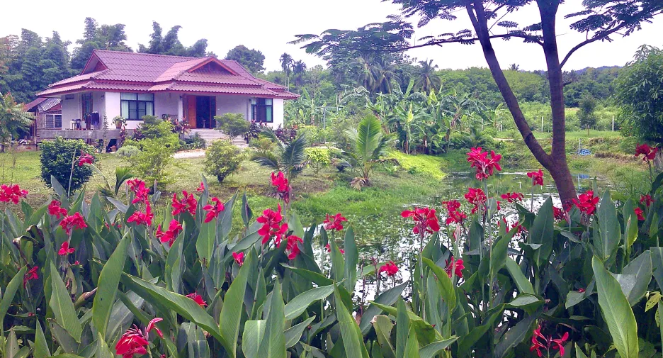 For sale land in Thong Pha Phum, Kanchanaburi