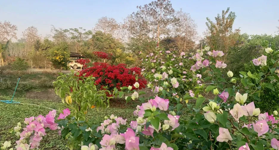 For sale land in Thong Pha Phum, Kanchanaburi