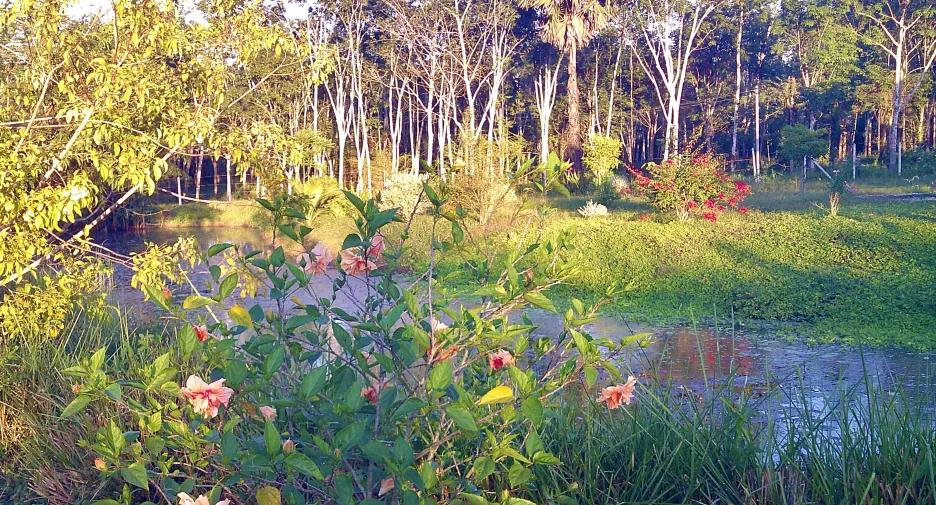 For sale land in Thong Pha Phum, Kanchanaburi